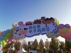 -九十九顶毡房(阜石路店)