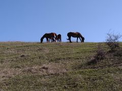 -中华福寿山