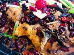 -老板恋上鱼(印象城店)