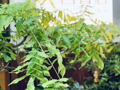 -二酉书店TOYOU BOOKS