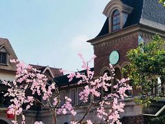 -中旅阿那亚九龙湖·公主酒店