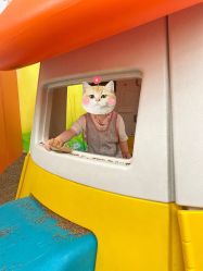 -孩子王童乐园(天津远洋乐堤港店)