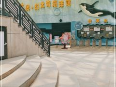 -太奥幻太奇海洋馆