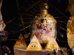 -雪灵魔法世界SHELLY’S TAROT(大良桂畔里店)