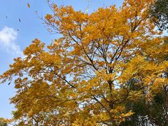 -东钱湖旅游度假区