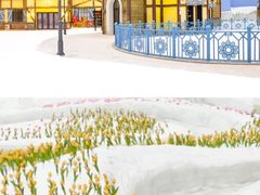 -广州热雪奇迹