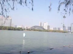 -天鹅湖体育公园