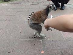 -南昌动物园