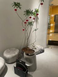 点击看大图 -3AM·S HAIR SALON烫发染发接发