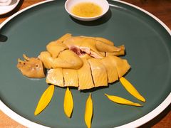 白切葵花鸡-陶陶居·雅园(凯华国际店)