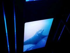 -海洋公园海洋列车－海滨站