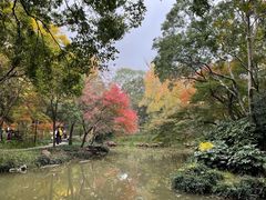 -秋霞圃