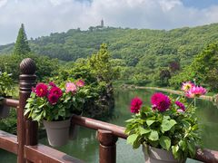 -苏州上方山国家森林公园