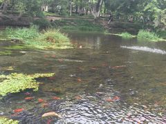 -水磨沟公园