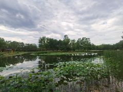-东郊湿地公园