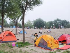 -东郊湿地公园