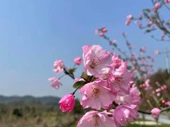 -东钱湖旅游度假区