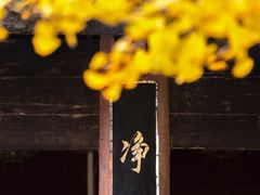-佛荫寺