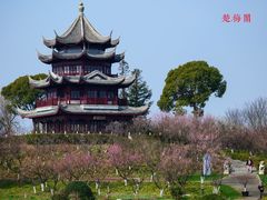 -上海海湾国家森林公园