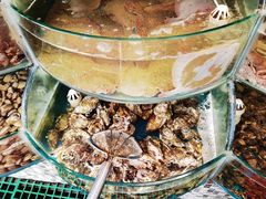 -仙螺岛海鲜自助餐厅(总店)