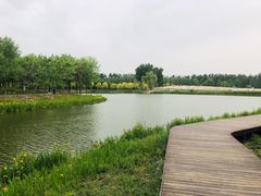 -东郊湿地公园