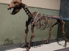 -大庆市博物馆