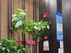 -满来寿喜烧(金虹桥店)