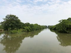 -大湾区中央湿地公园