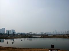 -洋湖国家湿地公园