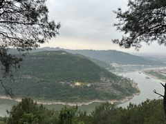 -铁山坪森林公园