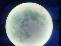 -天津梵高星空艺术馆(天河城旗舰店)