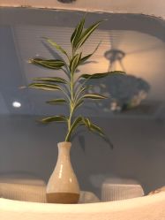 -娇玫荟SPA