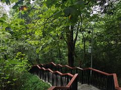 -天鹿湖森林公园