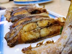 -墨脱石锅椰子鸡•香草鸭•东山羊(大东海店)