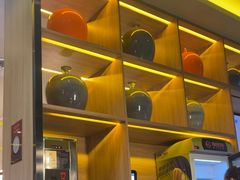 -润园四季椰子鸡火锅(南山海岸城店)