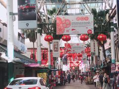 -罗汉果龙眼冰糖燉冬瓜