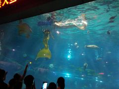 -福州罗源湾海洋世界旅游区