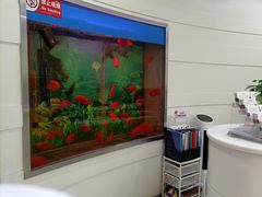 -雅悦齿科(顾村公园店)