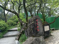 -梧桐山风景名胜区