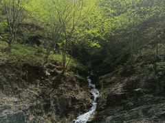 -十渡东湖港风景区