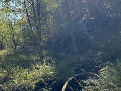 -五营红松林海景区