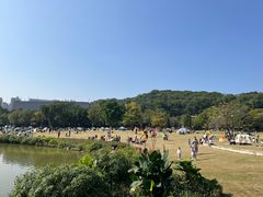 -牛岗山公园