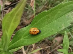 -营地公园·团建拓展·亲子户外(奉贤店)