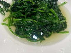 -同庆楼(滨湖万达广场店)