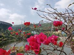 -中国移动南方基地