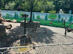 -西安秦岭野生动物园