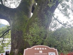 -新安江山水画廊风景区