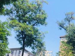 -风车面包
