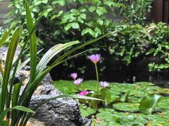 -花锦堂·隐庐