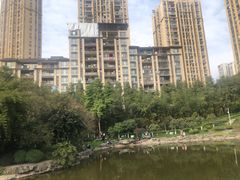 -龙头寺公园